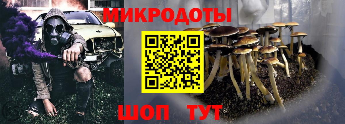 Алатырь  Псилоцибиновые грибы Cubensis  Вход с VPN 